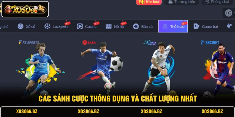 Thể Thao XOSO66 4 Các sảnh cược thông dụng và chất lượng nhất